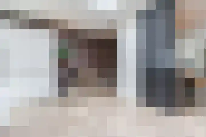 Zeelsterstraat 217 Eindhoven thumbnail 19