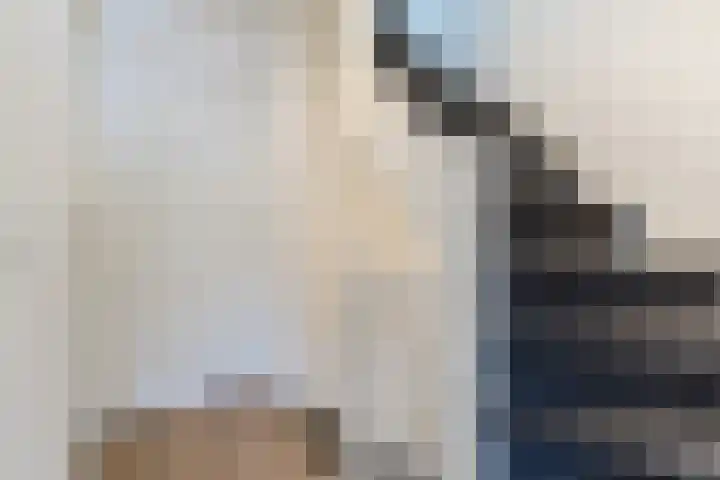 Zeelsterstraat 217 Eindhoven thumbnail 21
