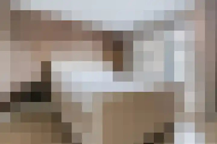 Zeelsterstraat 217 Eindhoven thumbnail 22