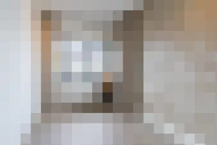 Zeelsterstraat 217 Eindhoven thumbnail 24