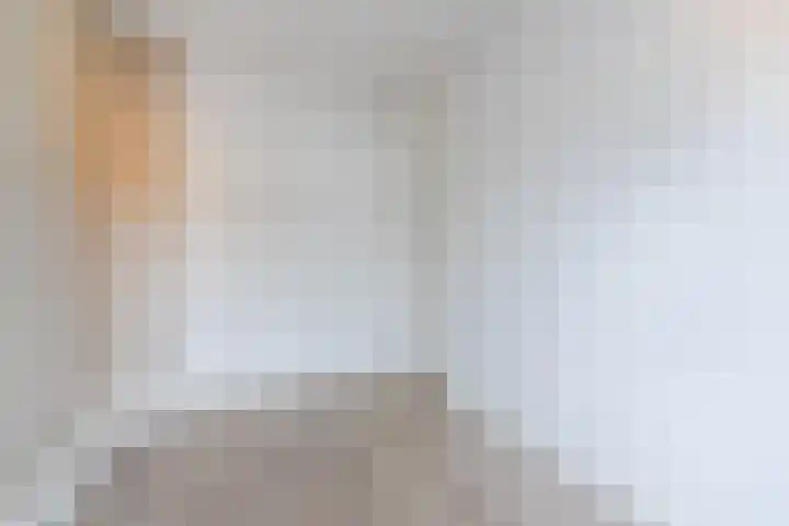 Zeelsterstraat 217 Eindhoven thumbnail 25