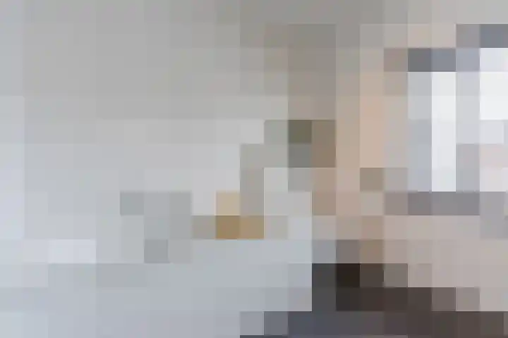 Zeelsterstraat 217 Eindhoven thumbnail 27