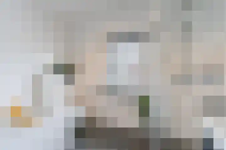 Zeelsterstraat 217 Eindhoven thumbnail 28