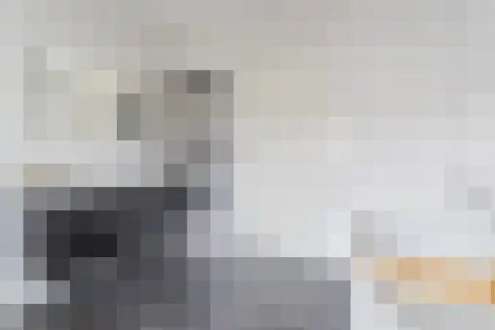 Zeelsterstraat 217 Eindhoven thumbnail 29