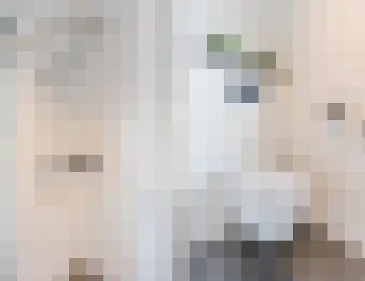 Zeelsterstraat 217 Eindhoven thumbnail 30