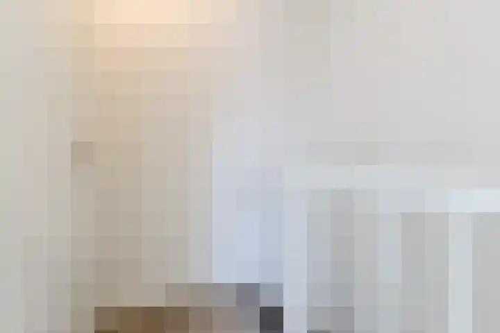 Zeelsterstraat 217 Eindhoven thumbnail 31