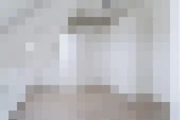 Zeelsterstraat 217 Eindhoven thumbnail 32
