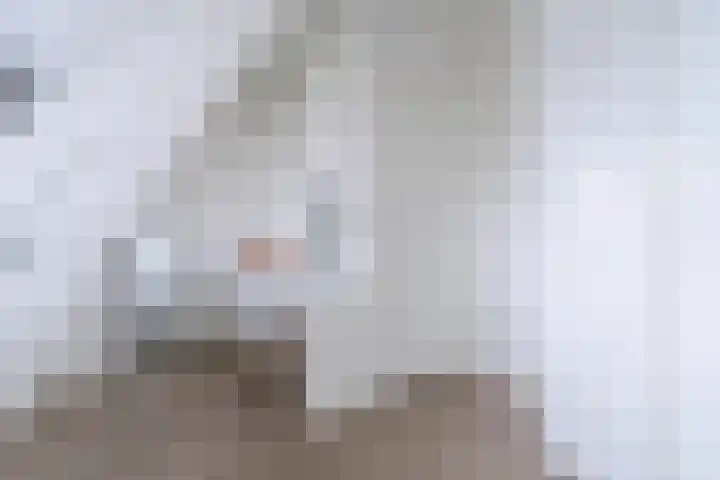 Zeelsterstraat 217 Eindhoven thumbnail 34