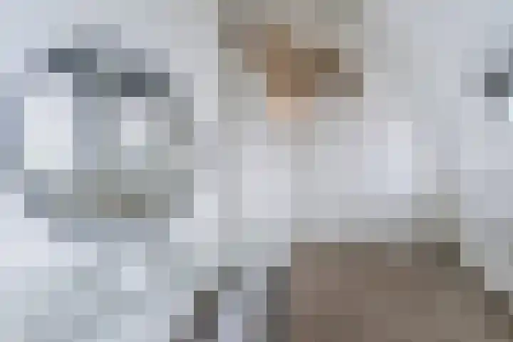 Zeelsterstraat 217 Eindhoven thumbnail 35