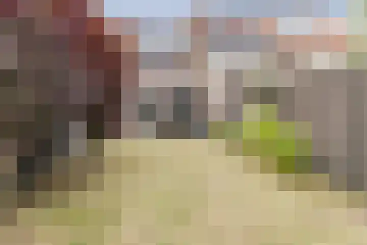 Zeelsterstraat 217 Eindhoven thumbnail 36