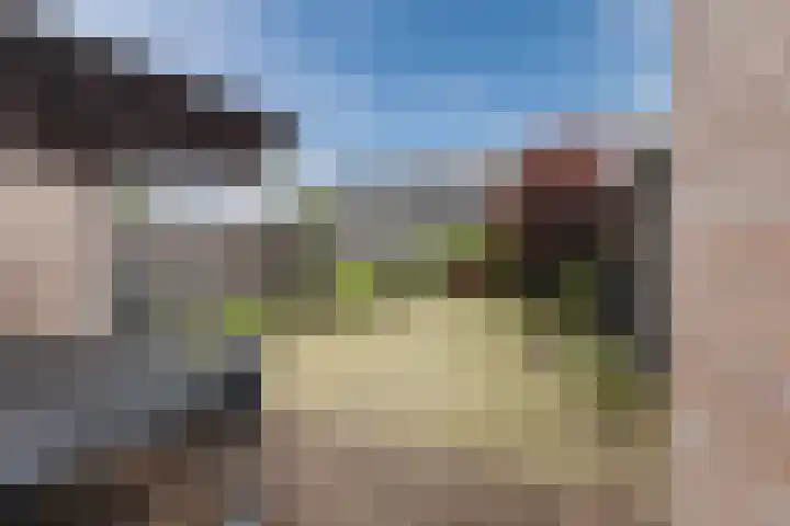 Zeelsterstraat 217 Eindhoven thumbnail 37