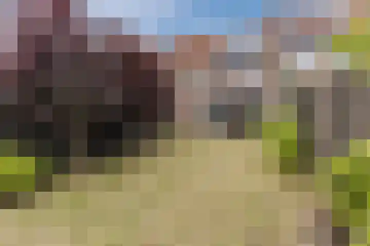 Zeelsterstraat 217 Eindhoven thumbnail 38