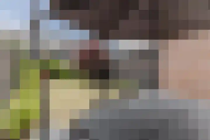 Zeelsterstraat 217 Eindhoven thumbnail 39