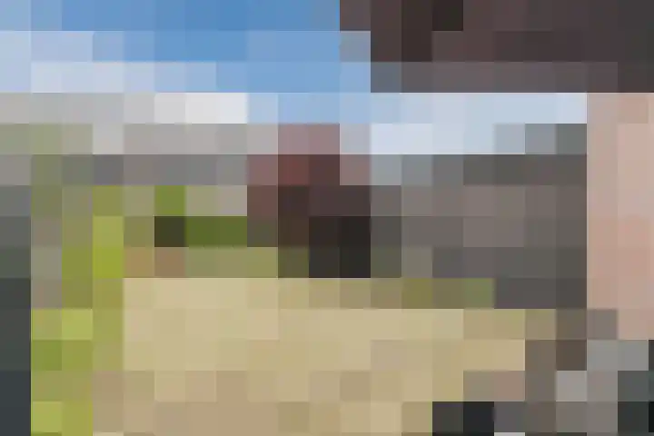 Zeelsterstraat 217 Eindhoven thumbnail 41
