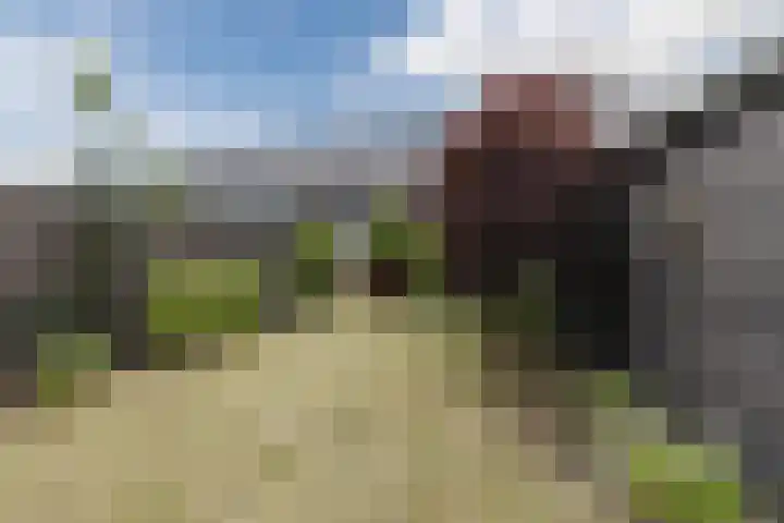 Zeelsterstraat 217 Eindhoven thumbnail 42