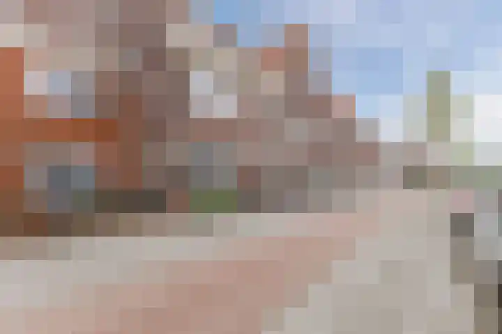 Zeelsterstraat 217 Eindhoven thumbnail 43