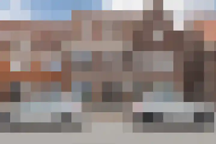 Zeelsterstraat 217 Eindhoven thumbnail 45