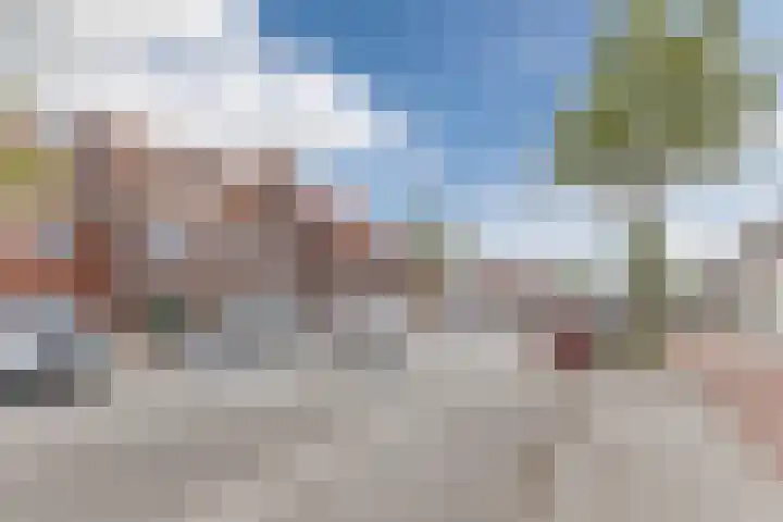 Zeelsterstraat 217 Eindhoven thumbnail 47