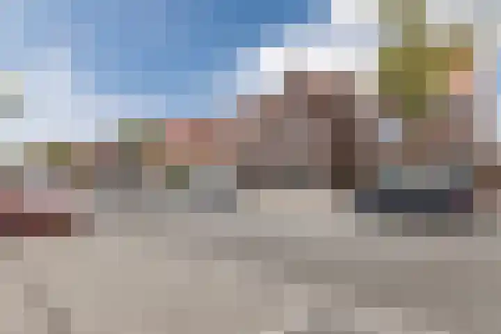 Zeelsterstraat 217 Eindhoven thumbnail 48