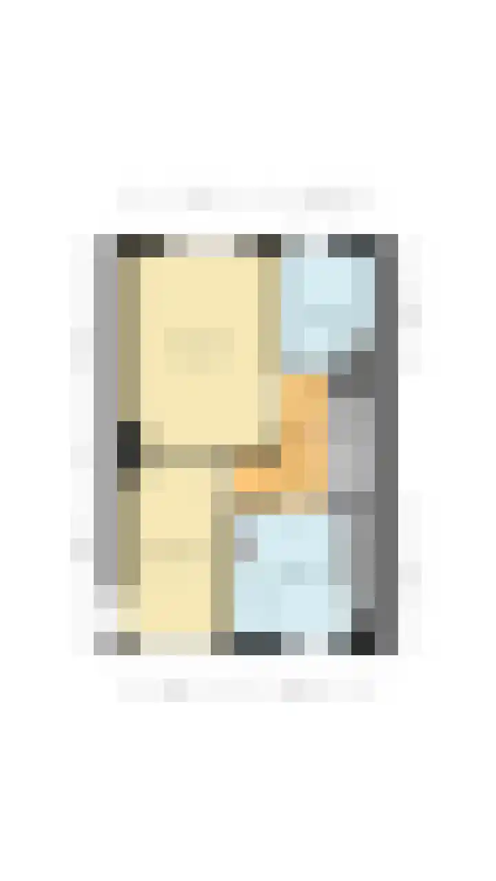 Zeelsterstraat 217 Eindhoven thumbnail 50