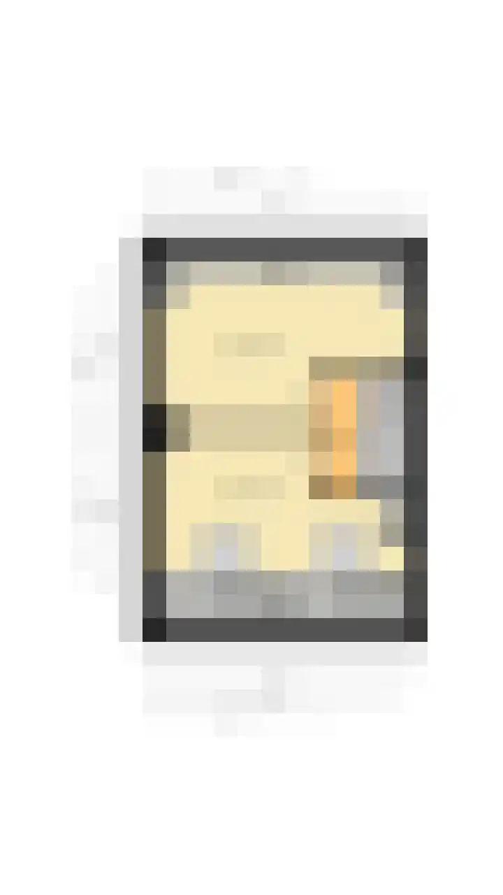 Zeelsterstraat 217 Eindhoven thumbnail 51