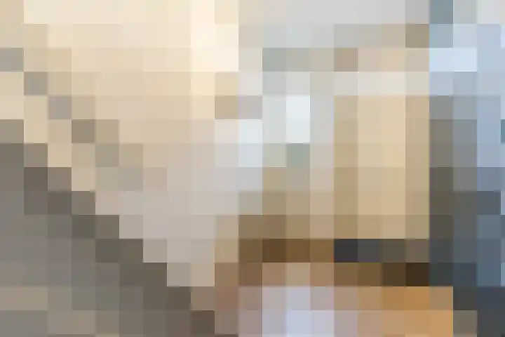 Zeelsterstraat 217 Eindhoven thumbnail 6