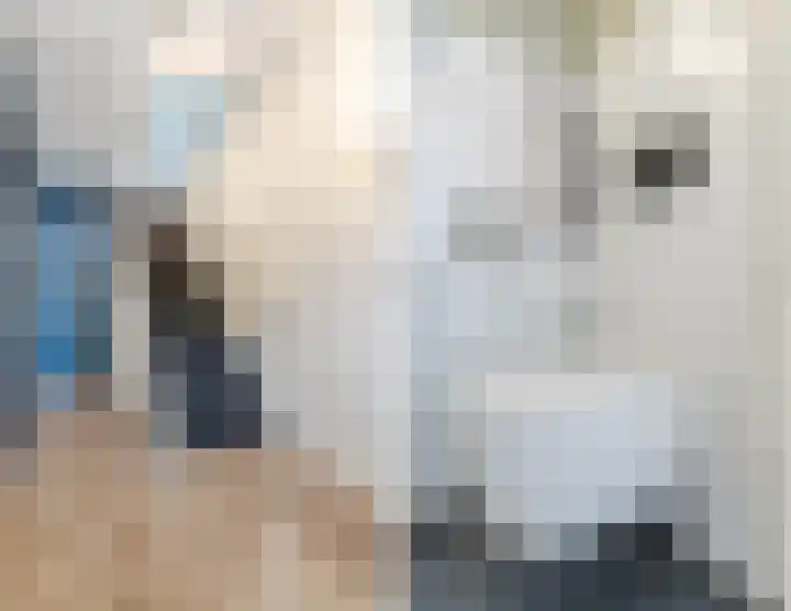 Zeelsterstraat 217 Eindhoven thumbnail 7