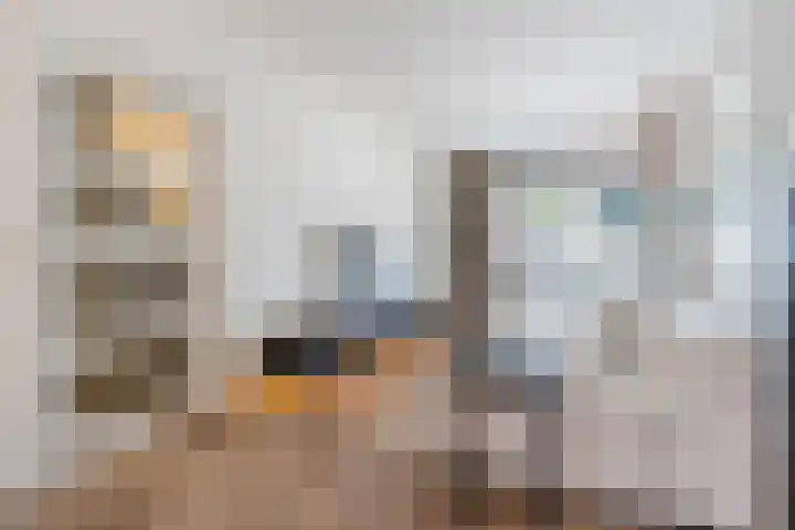 Zeelsterstraat 217 Eindhoven thumbnail 9