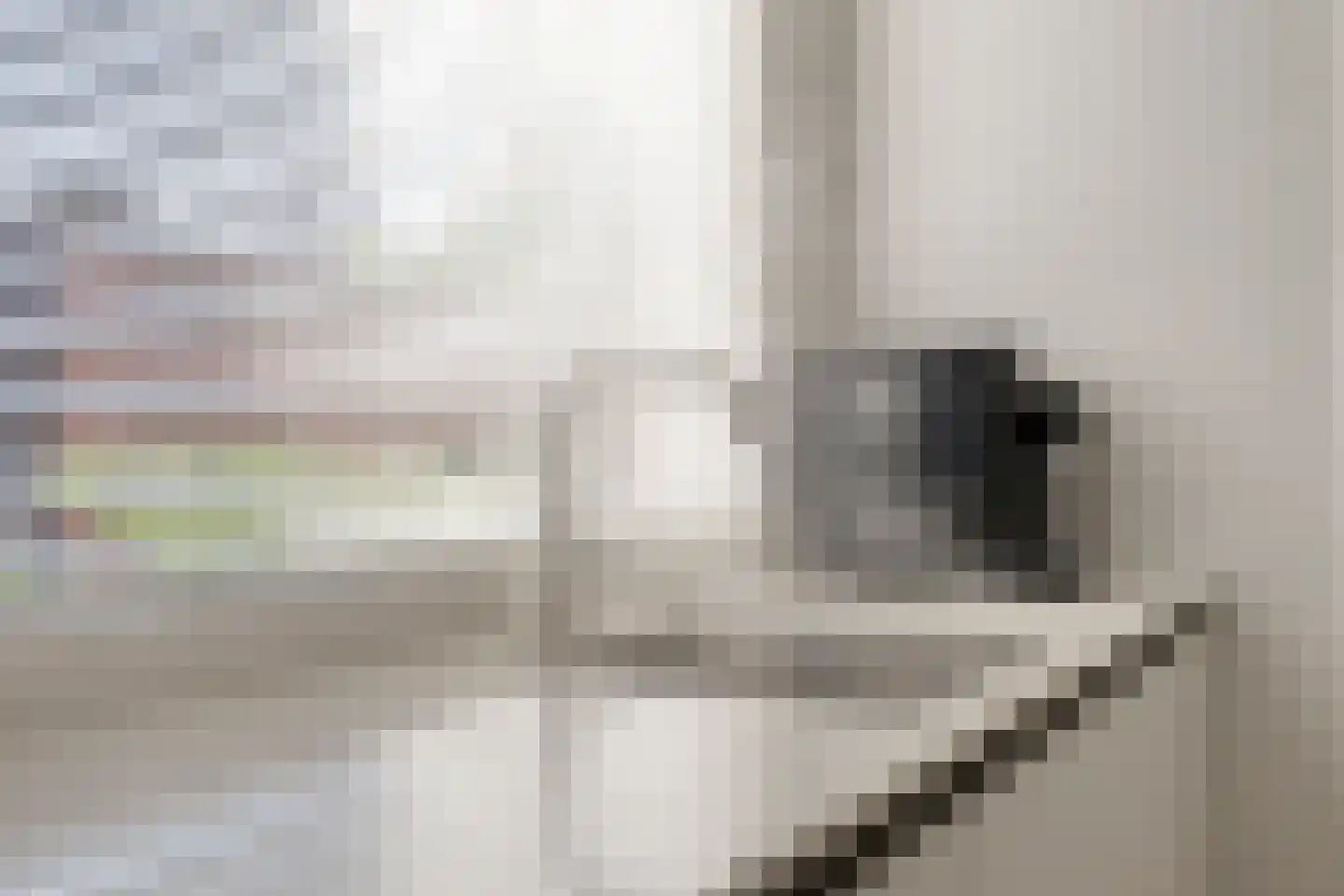 Zeelsterstraat 237 Eindhoven thumbnail 16