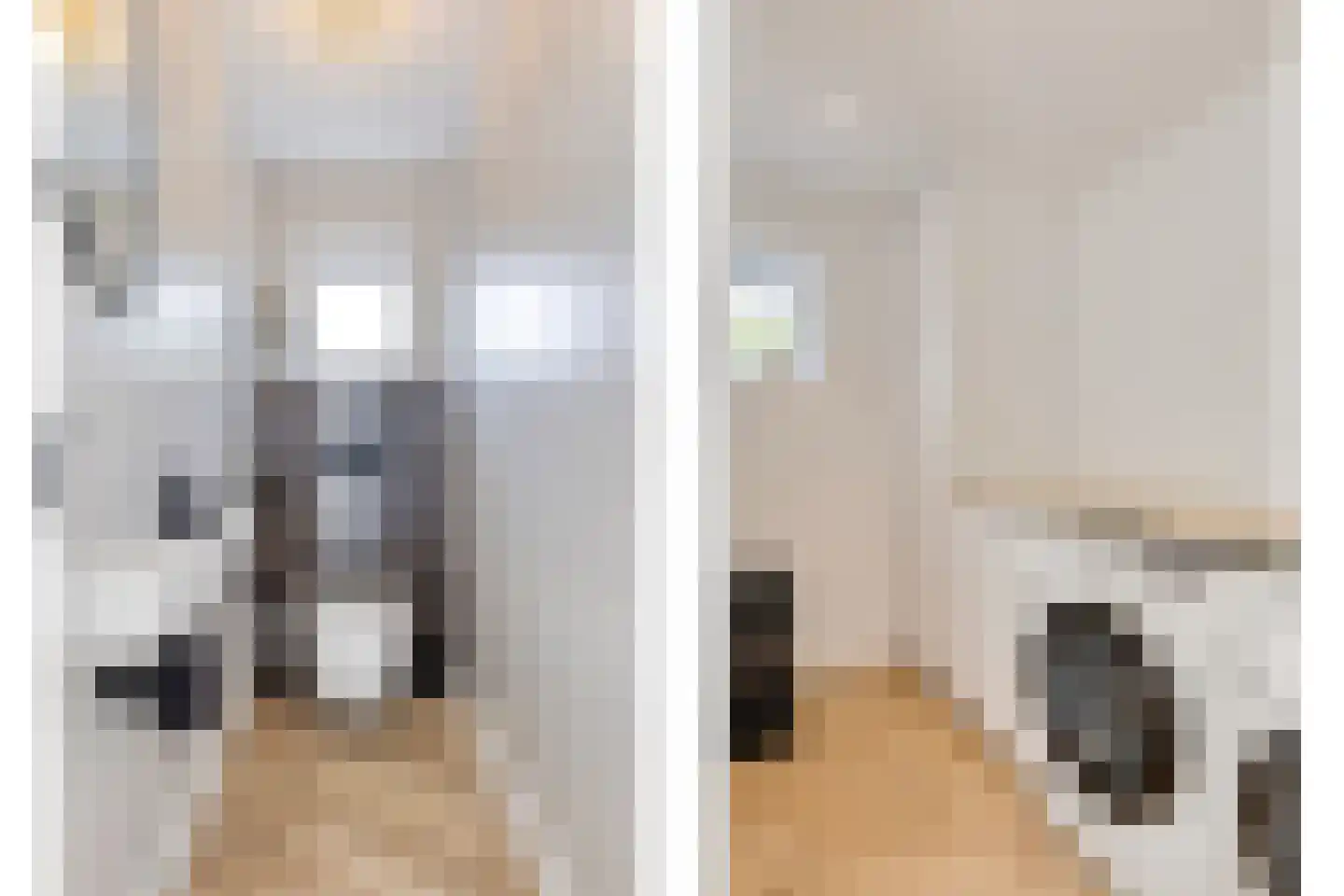 Zeelsterstraat 237 Eindhoven thumbnail 18