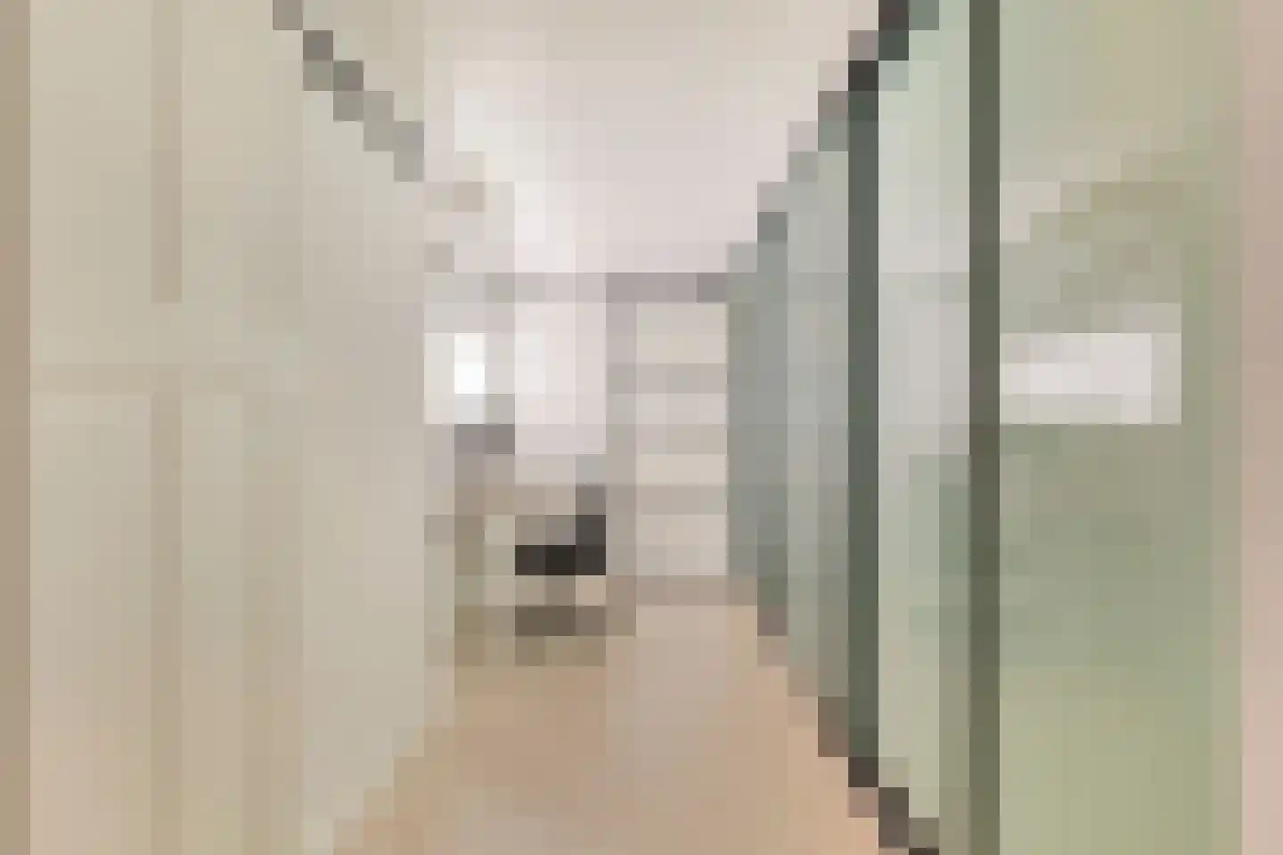 Zeelsterstraat 237 Eindhoven thumbnail 20