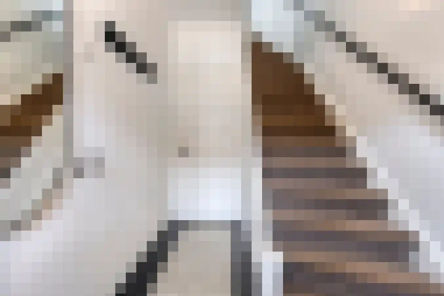 Zeelsterstraat 237 Eindhoven thumbnail 6