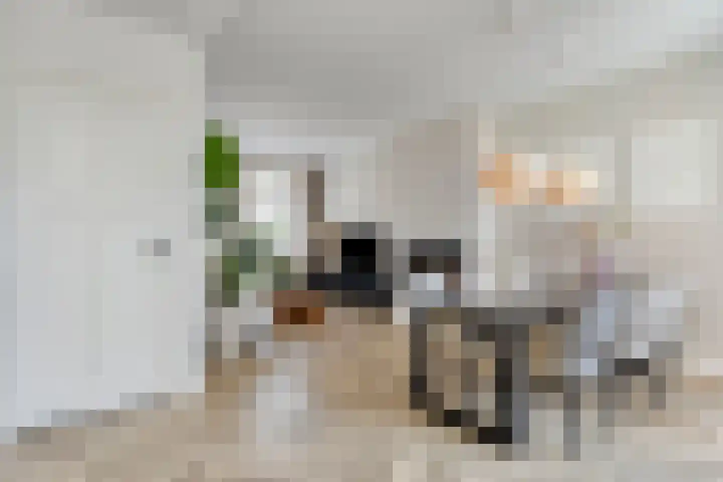 Zeelsterstraat 237 Eindhoven thumbnail 7