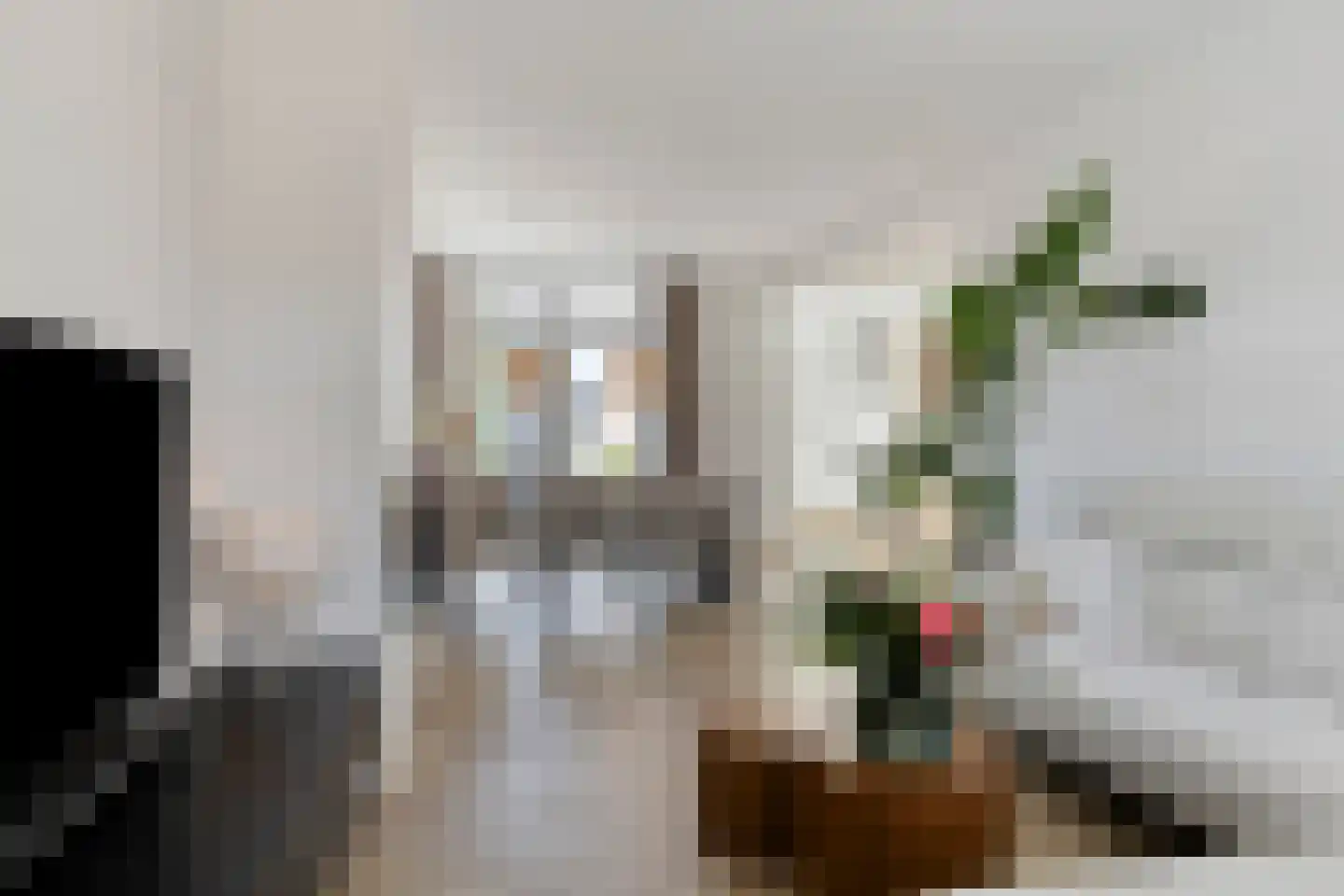 Zeelsterstraat 237 Eindhoven thumbnail 8