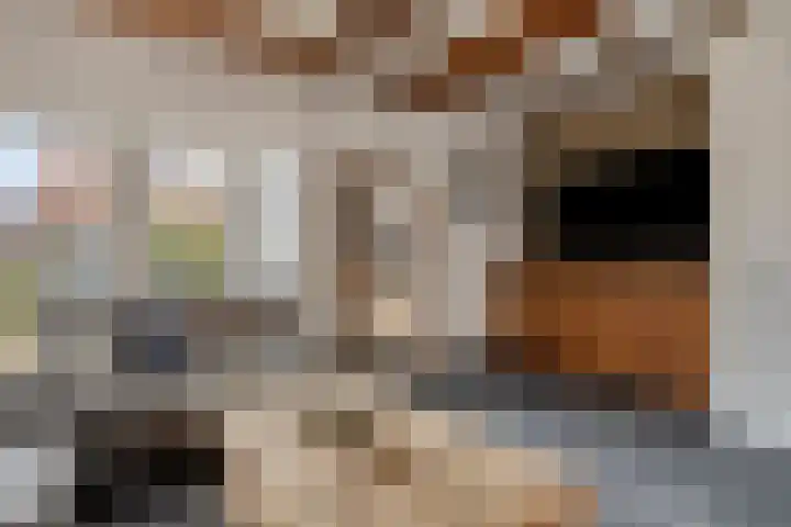Zeelsterstraat 241 Eindhoven thumbnail 11