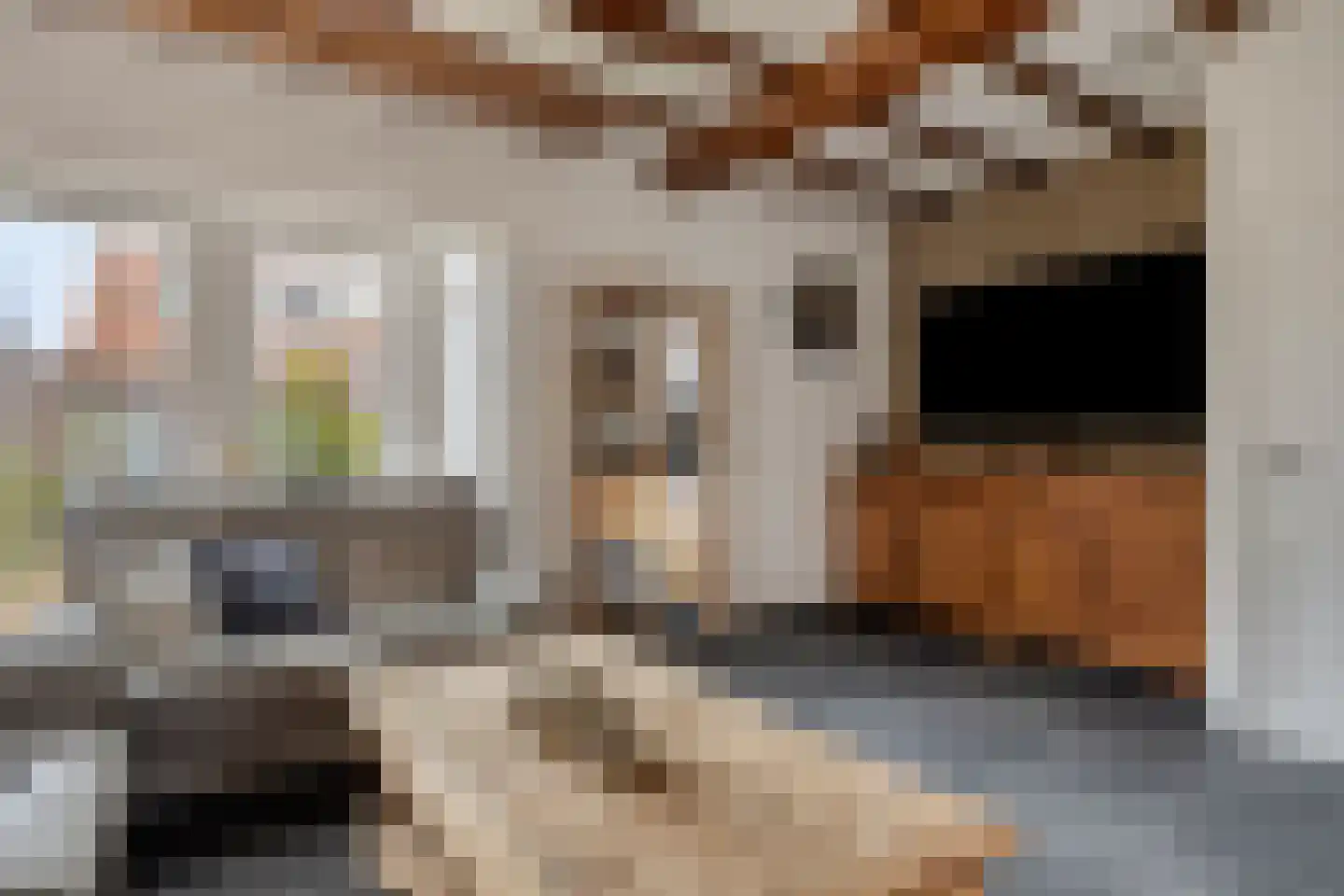 Zeelsterstraat 241 Eindhoven thumbnail 11