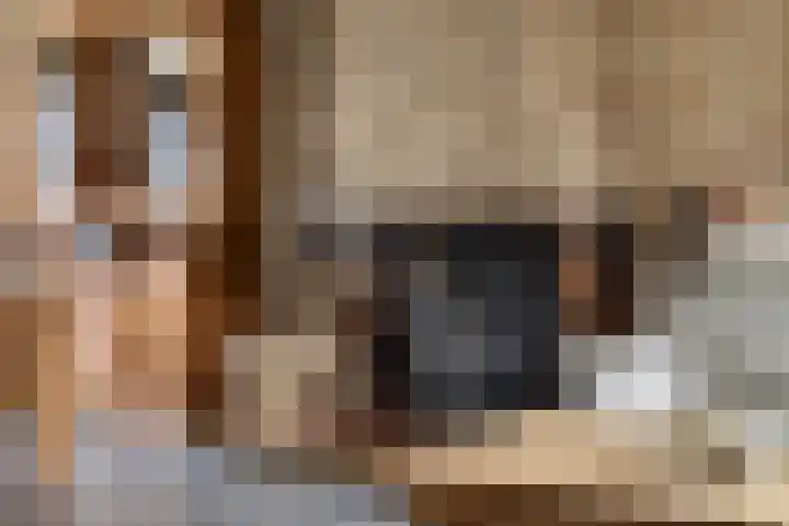 Zeelsterstraat 241 Eindhoven thumbnail 12