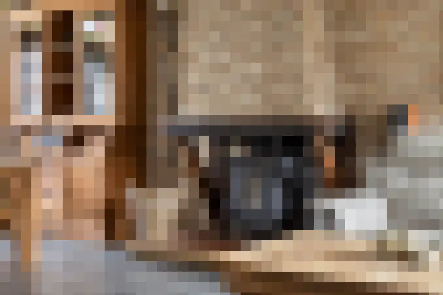 Zeelsterstraat 241 Eindhoven thumbnail 12