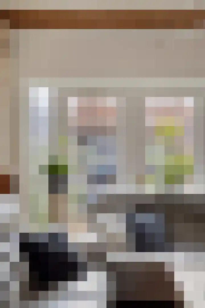 Zeelsterstraat 241 Eindhoven thumbnail 14
