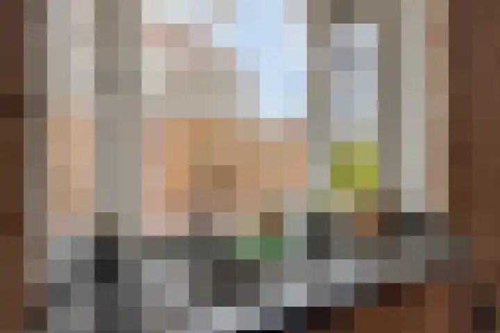 Zeelsterstraat 241 Eindhoven thumbnail 17