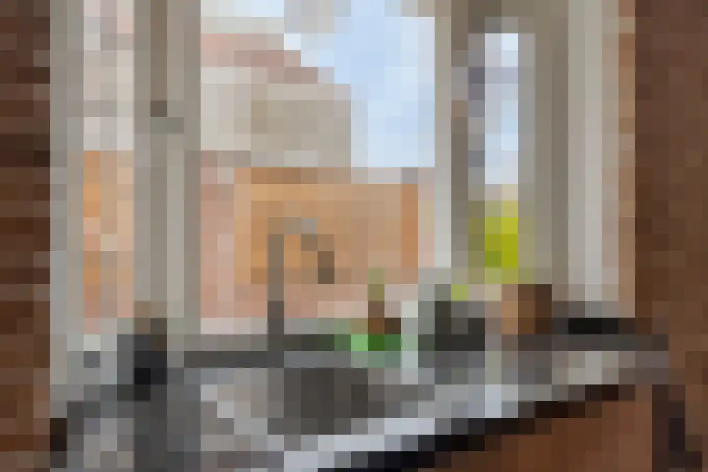 Zeelsterstraat 241 Eindhoven thumbnail 17