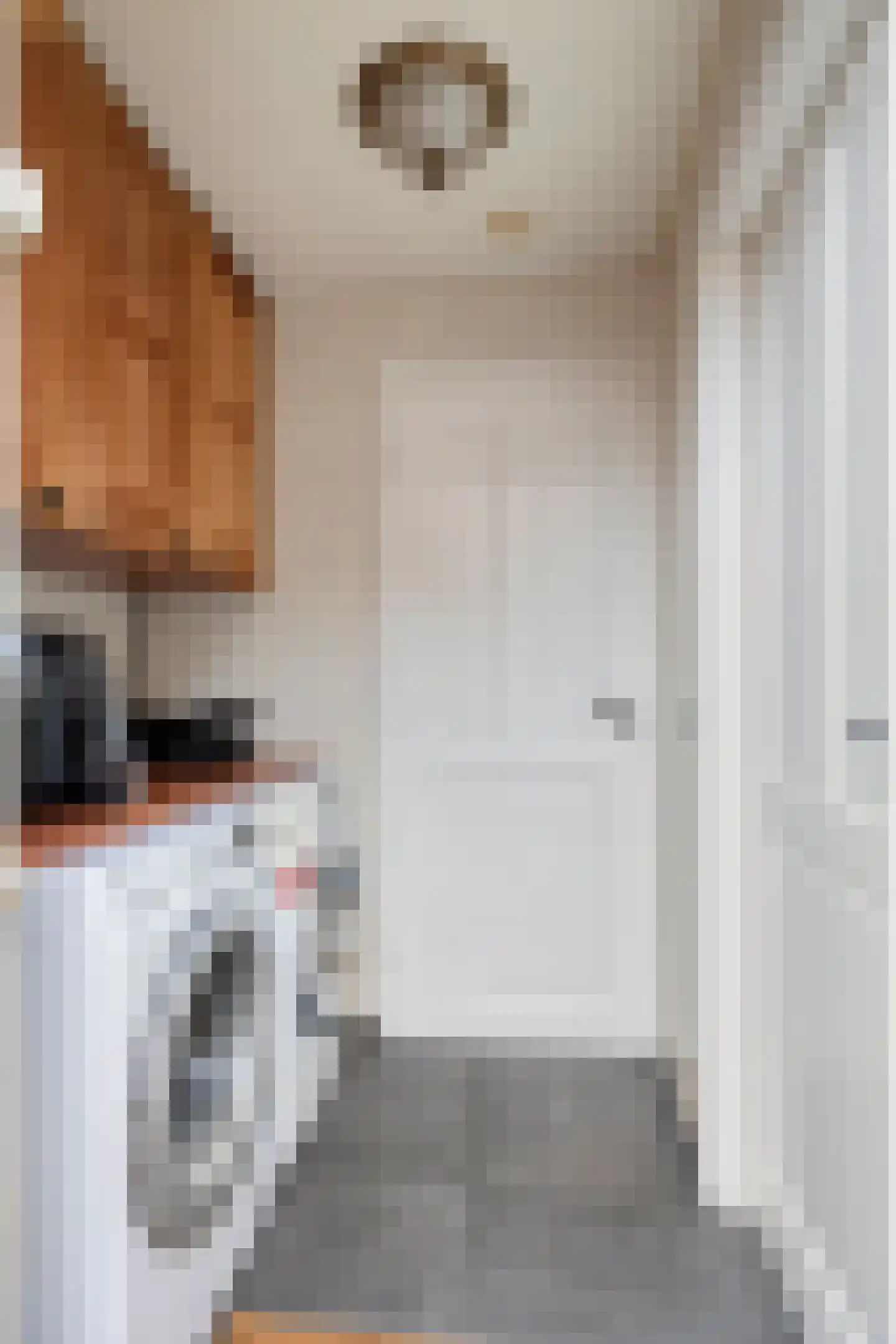 Zeelsterstraat 241 Eindhoven thumbnail 19