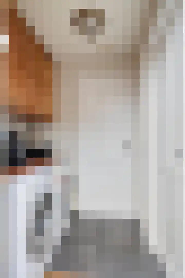 Zeelsterstraat 241 Eindhoven thumbnail 19