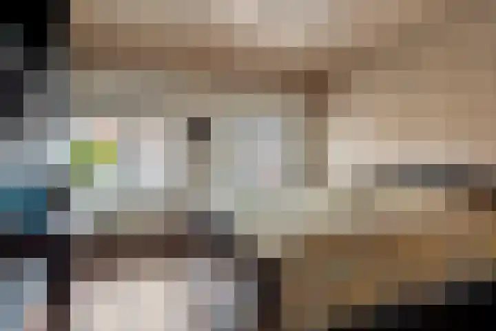 Zeelsterstraat 241 Eindhoven thumbnail 21
