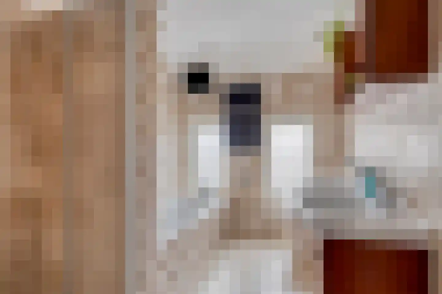 Zeelsterstraat 241 Eindhoven thumbnail 23