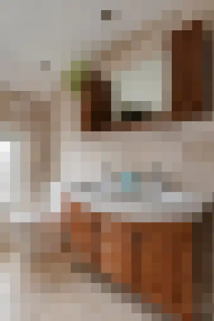 Zeelsterstraat 241 Eindhoven thumbnail 26
