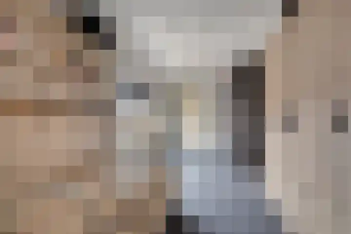 Zeelsterstraat 241 Eindhoven thumbnail 27