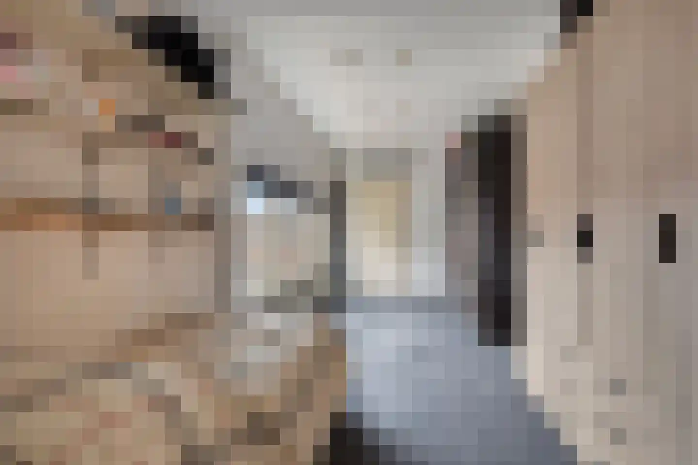 Zeelsterstraat 241 Eindhoven thumbnail 27