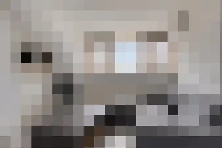 Zeelsterstraat 241 Eindhoven thumbnail 30