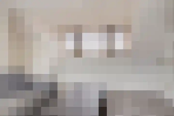 Zeelsterstraat 241 Eindhoven thumbnail 31